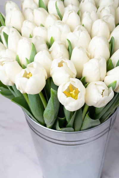 Riesiger Strauß Weißer Tulpe — Stockfoto