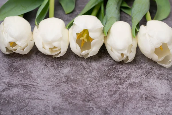 Weiße Tulpen Auf Grauem Hintergrund Und Platz Für Text — Stockfoto