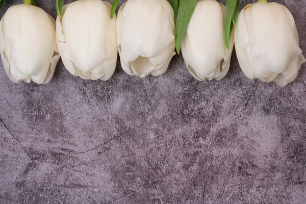 Weiße Tulpen Auf Grauem Hintergrund Von Oben — Stockfoto