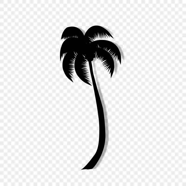 Vektorové Černá Silueta Ilustrace Palm Tree Ikony Izolované Průhledném Pozadí — Stockový vektor