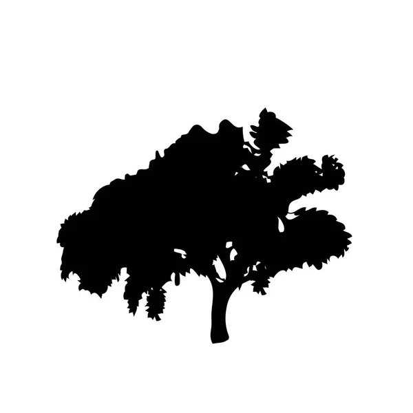 Silhouette Nera Albero Fogliare Isolato Sfondo Bianco Illustrazione Vettoriale Icona — Vettoriale Stock