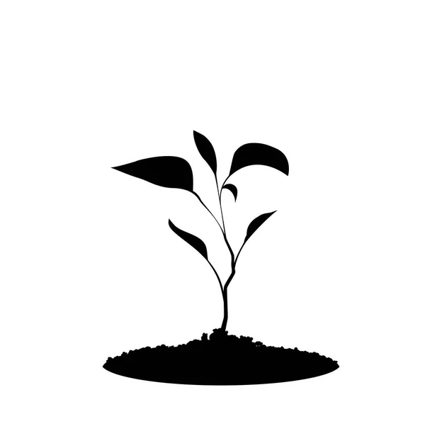 Czarne Sylwetki Kiełkowania Roślin Glebie Białym Tle Siew Ilustracji Wektorowych — Wektor stockowy