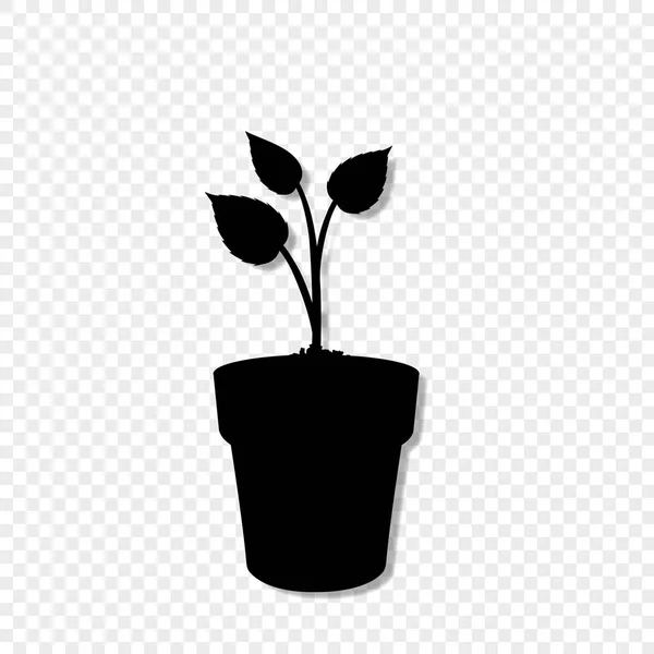 Zwarte Silhouet Van Het Kiemen Van Plant Pot Geïsoleerd Transparante — Stockvector