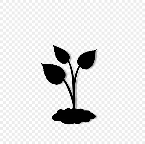 在透明背景下被隔离的土壤中发芽植物的黑色剪影 播种矢量插图 设计模板 — 图库矢量图片