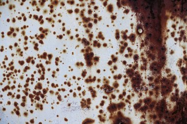Eski beyaz metal duvar kırmızı paslı nokta ve lekelerin arka plan ile. Yıpranmış pas saç metin yazabileceğiniz boş kopya ile.