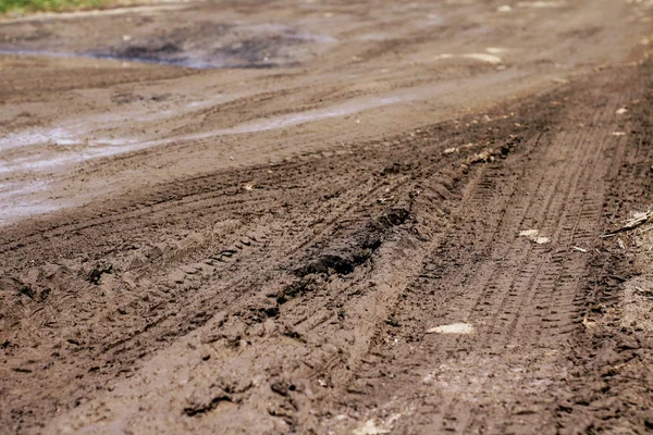 Fresh Vehicle Tracks Impressed Wet Spring Mud Soil Perspective View — Stock Photo, Image