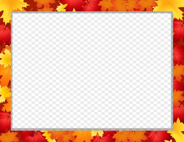 抽象秋天模板与枫叶 向量框架 边界与秋天叶子隔绝 秋季节日贺卡 教师节邀请或回校 — 图库矢量图片