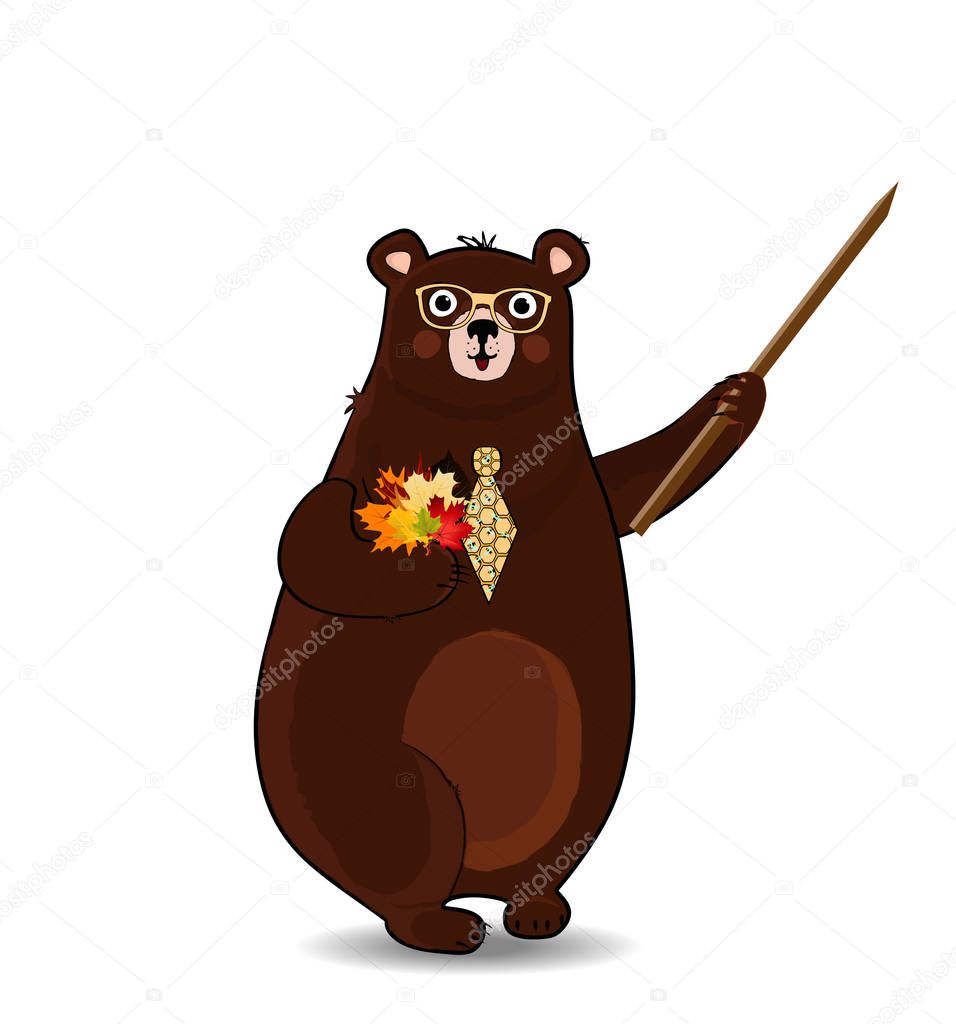 Cute cartoon bear teacher in glasses and tie holding pointer and autumn leaves bouquet isolated on white background. Happy teachers day, back to school vector illustration, clip art, design character.