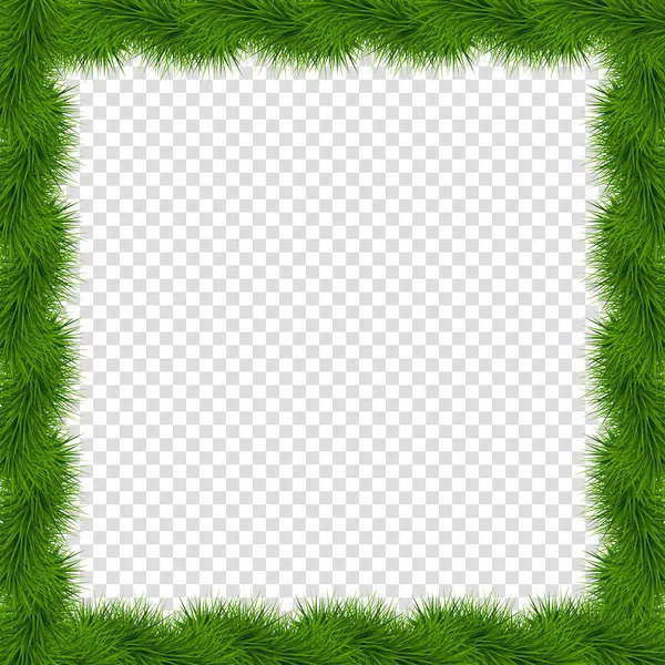 现实向量冷杉正方形边界 框架查出在透明背景 模板与圣诞树分支和空的文本复制空间 新年相框 剪贴簿剪贴画 — 图库矢量图片