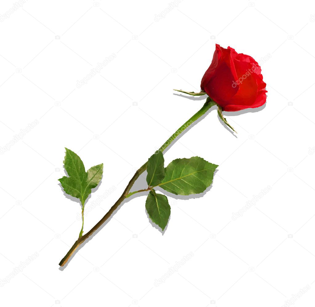   illustration of photo-realistic, highly detailed flower of red rose isolated on white background. Beautiful bud of red rose on long stem. Clip art for valentines, love, wedding, dating design.