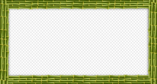 Vektorové Ilustrace Zelený Bambus Obdélník Stick Hranice Šablona Prázdné Makety — Stockový vektor