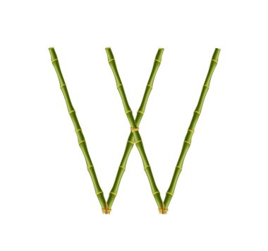 Vektör bambu alfabe. Sermaye mektup W gerçekçi yeşil bambu yapılmış beyaz arka plan üzerinde izole direkleri sopa. Abc kavramı kelime, metin, reklam, mesaj oluşturmak için.