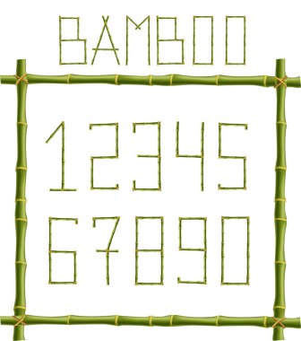 Sayılar basamak gerçekçi yeşil bambu yapılmış vektör bambu beyaz arka plan üzerinde izole tahta sopa çerçeve içinde direkleri sopa. Sayı kavramı kelime, metin, reklam, mesaj oluşturmak için.