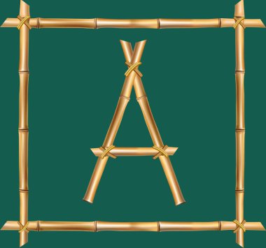 Vektör bambu alfabe. Büyük harf A gerçekçi kahverengi kuru bambu Polonyalılar üzerinde yeşil arka plan izole tahta sopa çerçeve içinde yapılmış. Abc kavramı kelime, metin, reklam, mesaj oluşturmak için.