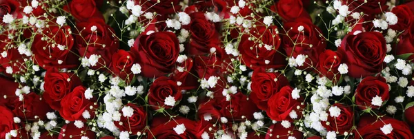 Natuurlijke Donkere Rode Ruby Rozen Met Witte Kleine Bloemen Romantische — Stockfoto