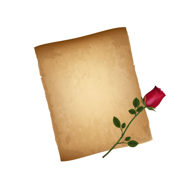 Old Grungy Paper Red Elegant Rose Aislados Sobre Fondo Blanco — Archivo Imágenes Vectoriales