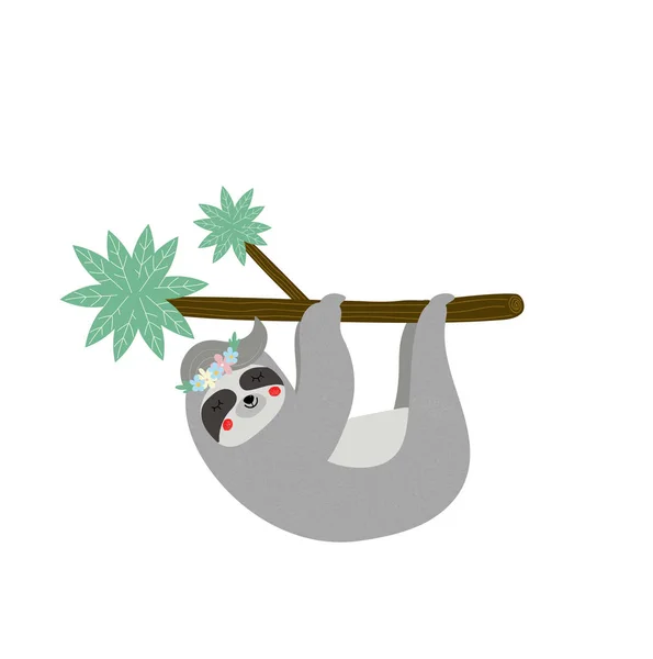 น่ารักตลก sloth แขวนบนกิ่งไม้ปาล์ม . — ภาพเวกเตอร์สต็อก