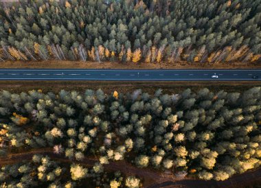 Sonbahar ormanlarından geçen yol, hava manzaralı. Finlandiya