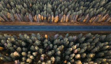 Sonbahar ormanlarından geçen yol, hava manzaralı. Finlandiya