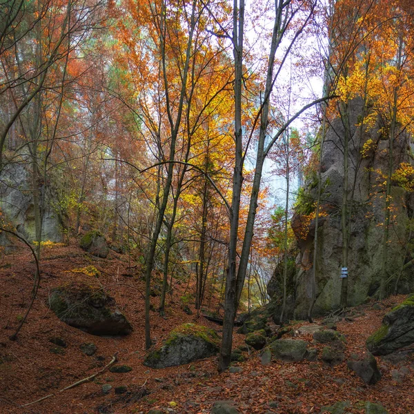 Bosque Otoño Sulov Rocks Sulovske Skaly Reserva Natural Nacional Eslovaquia — Foto de Stock