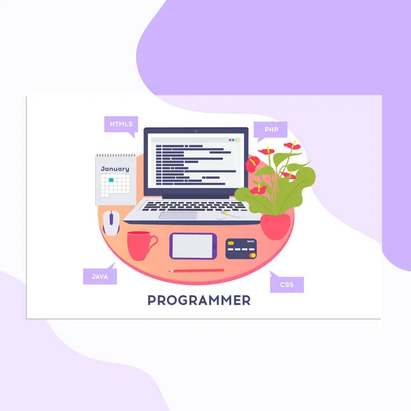 Lugar Trabajo Del Programador Codificador Codificación Software Lenguajes Programación Pruebas — Archivo Imágenes Vectoriales