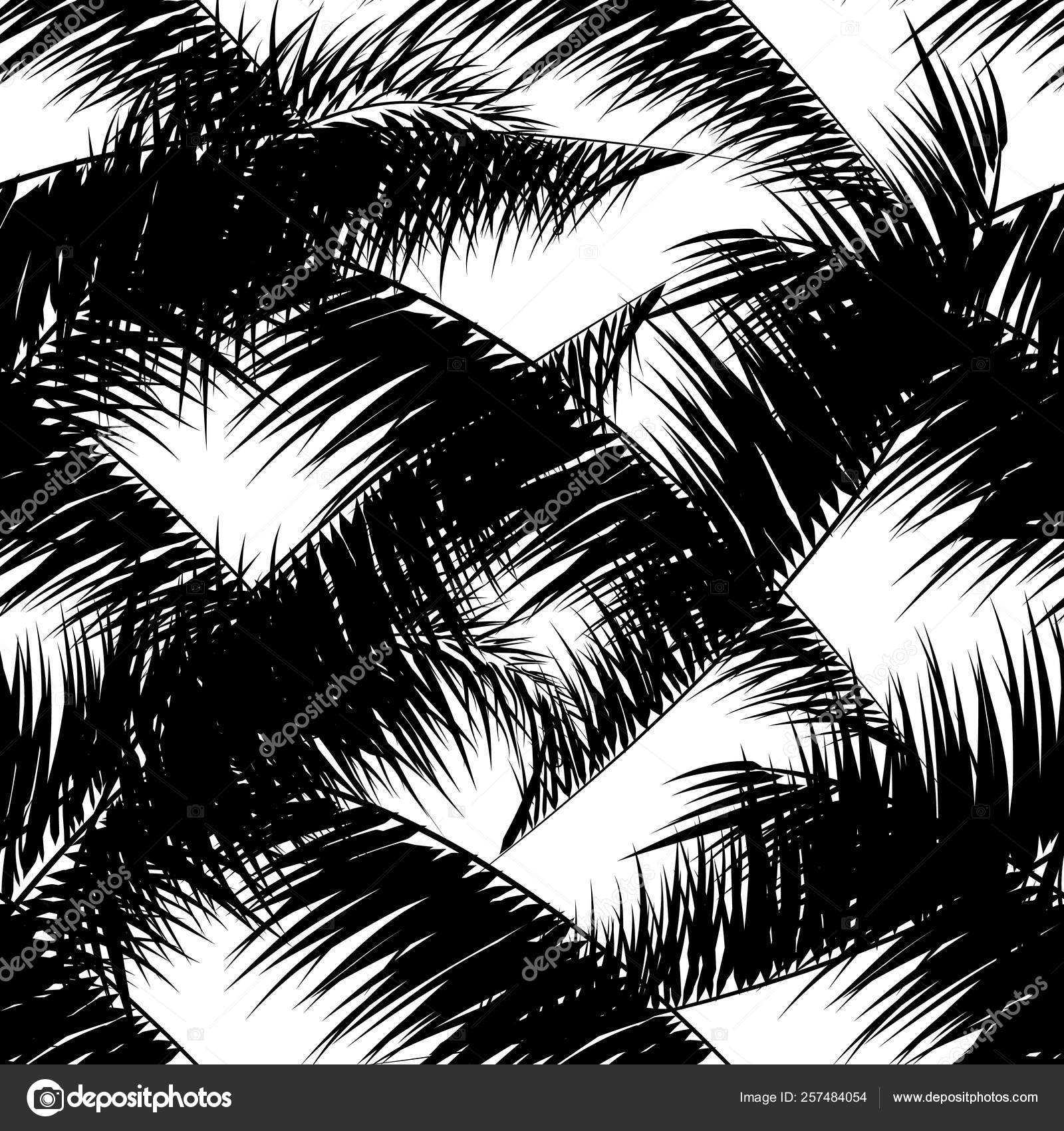 Black Vector Palm Trees Hand Drawn Seamless Pattern Summer