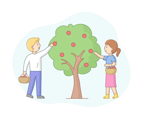 Cartoon Vector Composition with Male and Female Characters Gathering Apples From Tree. "Seasonal Farming Concept Linear Illustration". Люди работают в саду. Объекты с контуром на белом фоне — стоковый вектор