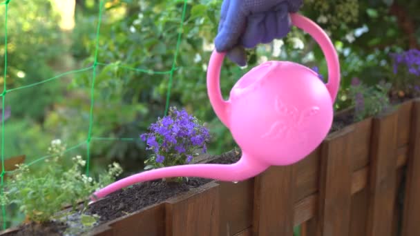 Jardinero regando flores en maceta al aire libre — Vídeo de stock