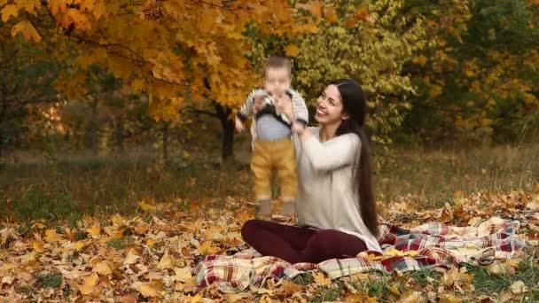 Mãe com filho no parque de outono — Vídeo de Stock