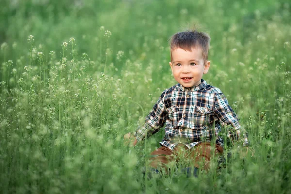 小男孩坐在花草丛中 — 图库照片