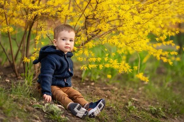 小男孩坐在开花的灌木丛下 — 图库照片