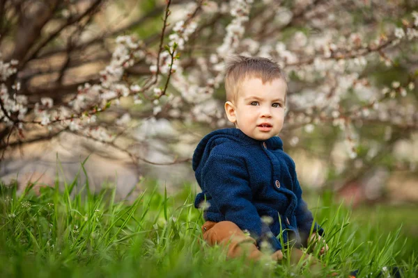 坐在绿草丛中的小男孩 — 图库照片