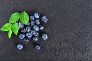 grafit kurulu taze yaban mersini