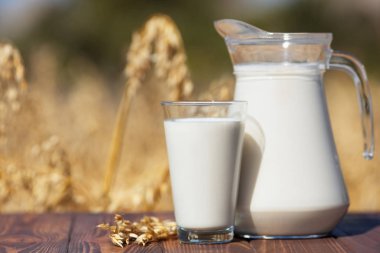 vegan yulaf sütü