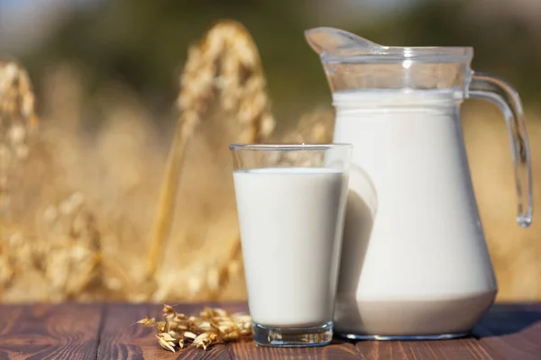 Mleko owat wegańskie — Zdjęcie stockowe