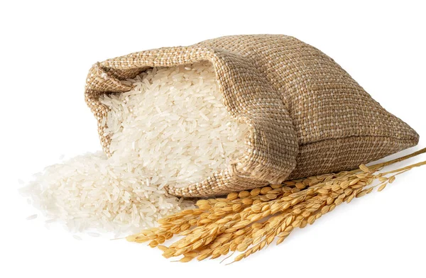 Ris i säckväv — Stockfoto