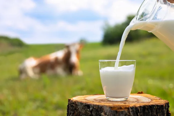 Lait versé dans le verre — Photo