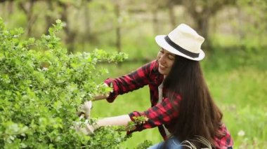Bahçıvan çalıları buduyor.