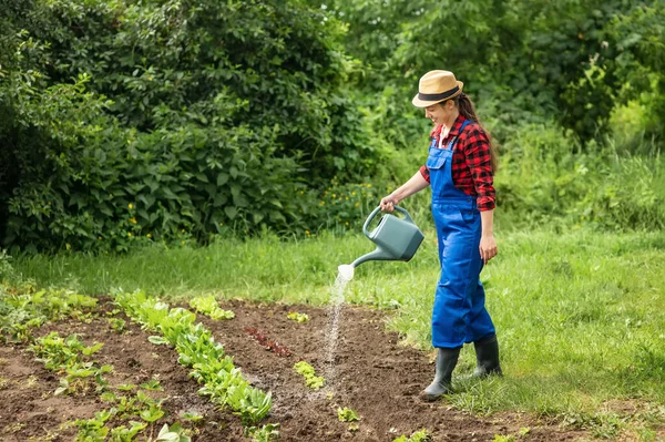 Donna giardiniere irrigazione giardino — Foto Stock