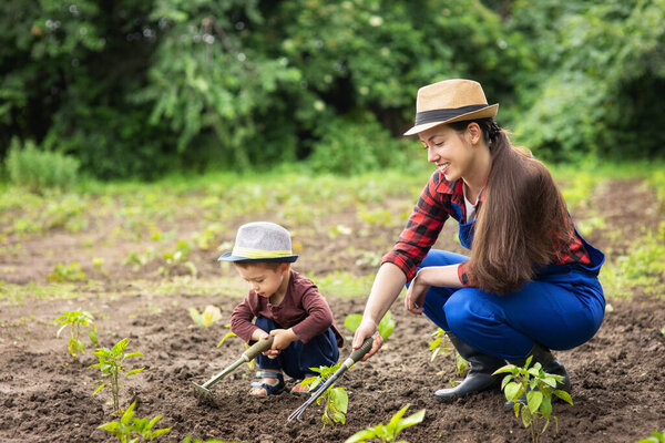 woman gardener and little boy weeding garden