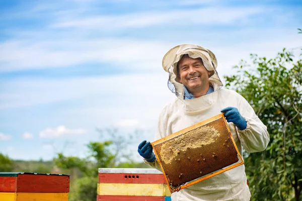 Včelař na včelíně — Stock fotografie