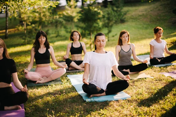 Group of mixed age women is practicing yoga and meditating in park while sunrise