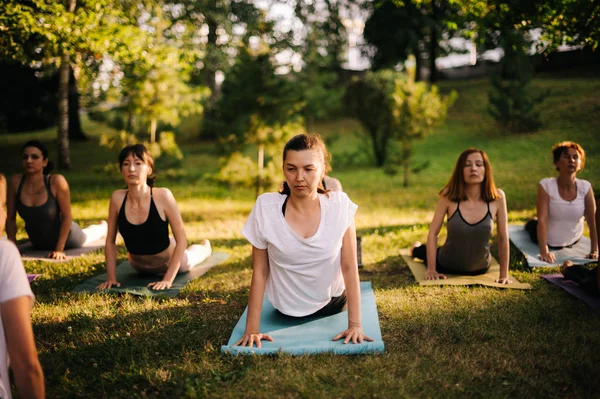 Group of young women are stretching in Upward Facing Dog Pose exercise