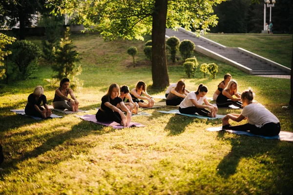 Group of women are stretching muscles in park on summer sunny morning