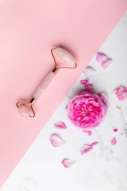 Pembe arka planda yeşim taşı ve pembe gülün yaratıcı çekimi. Boşluğu kopyala