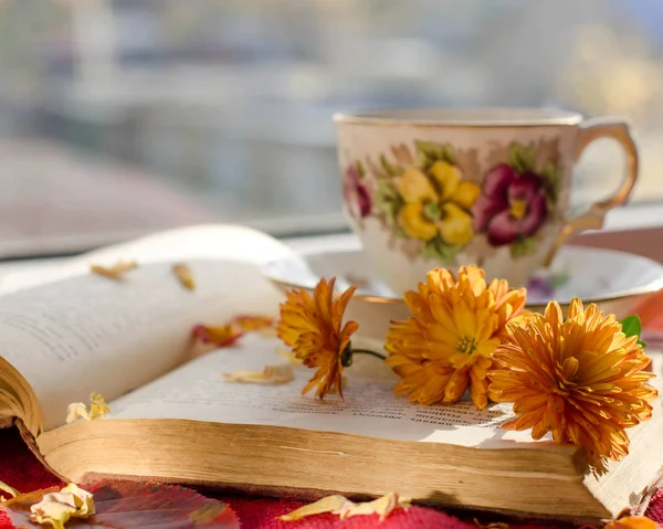 Open Old Book Autumn Flowers Cup Hot Tea Relax Autumn — Stock Photo, Image