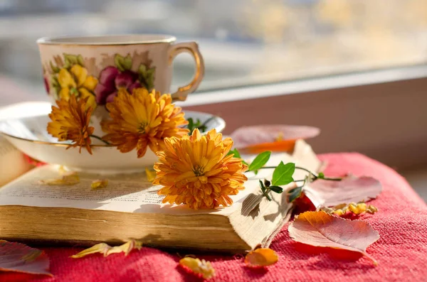 Nyitott Régi Könyv Őszi Virágok Egy Csésze Forró Teát Pihenjen Jogdíjmentes Stock Képek
