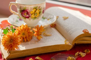 Açık eski kitap. Sonbahar çiçekler. Bir fincan çay. Sakin ol. Sonbahar. Seçici odak. Kitap ile güzel arka plan.