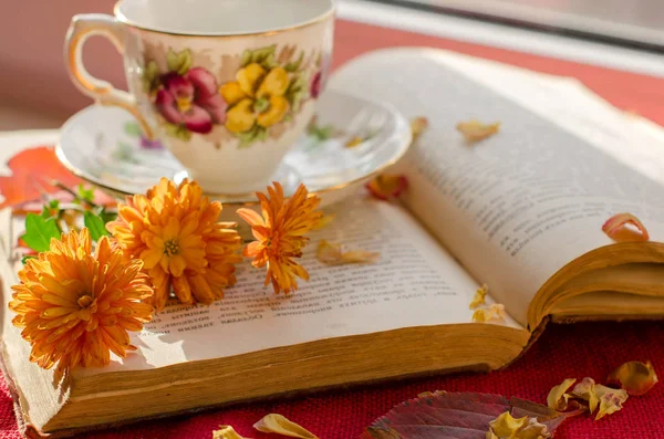 Abre Libro Viejo Flores Otoño Una Taza Caliente Relájate Otoño Imagen de archivo