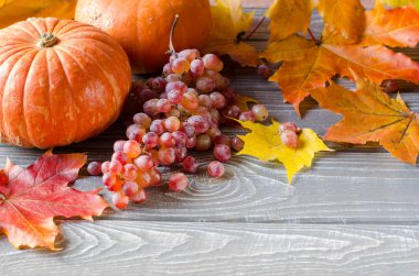 Sonbahar arka plan gri kurullarında. Sarı ve kırmızı yaprakları, pumpkins, üzüm. Seçici odak. Metin için yer.